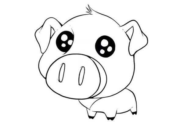 How to draw a cute pig