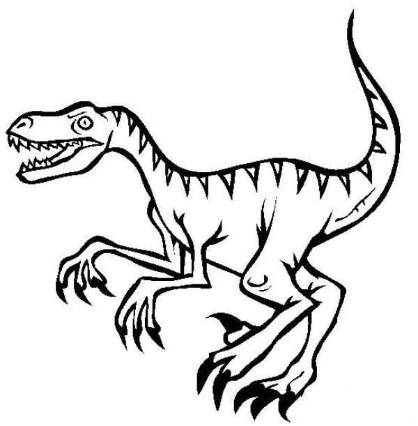 Dinosaur picture collection Velociraptor simple drawing