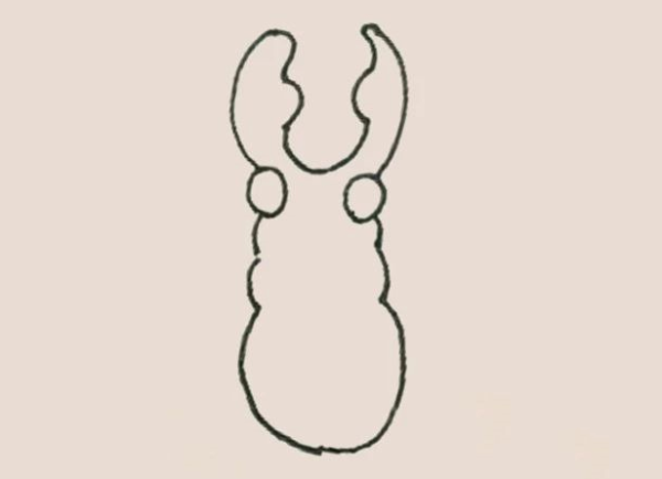 Simple drawing of beetle