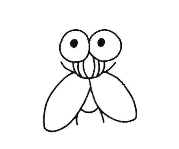 A set of simple drawing pictures of flies