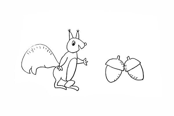 How to draw a little squirrel