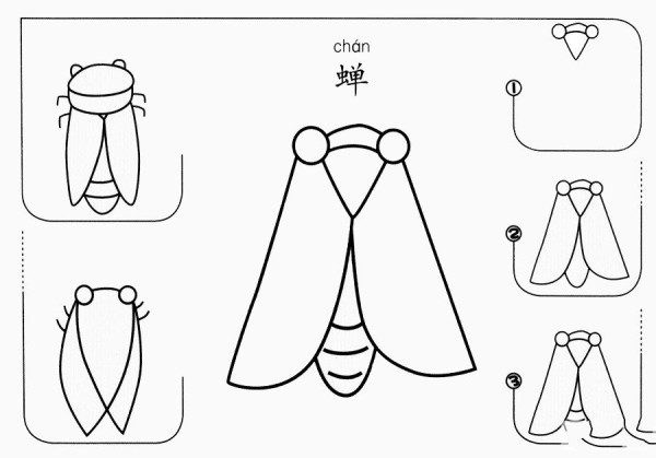 How to draw cicada