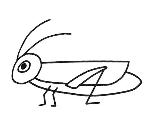 A set of simple drawing pictures of cartoon grasshoppers