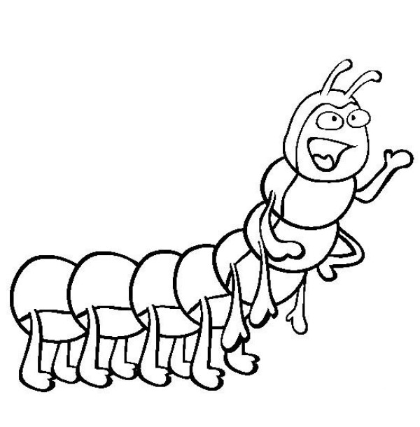 Insect Pictures Cartoon Caterpillar Simple Drawing Pictures