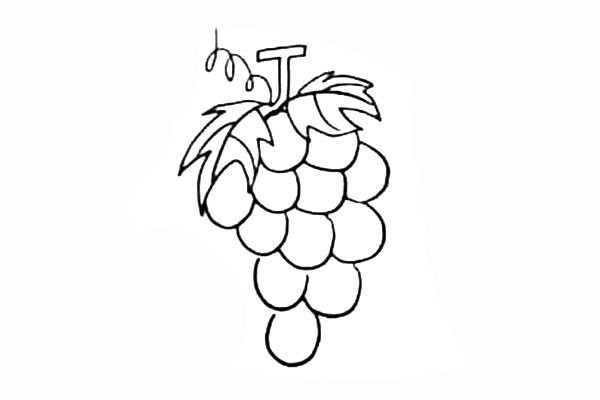 How to draw grapes