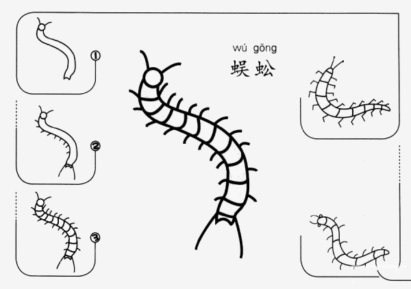 How to draw a centipede