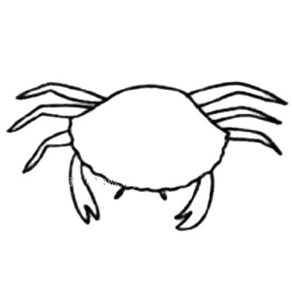 Crab simple drawing tutorial