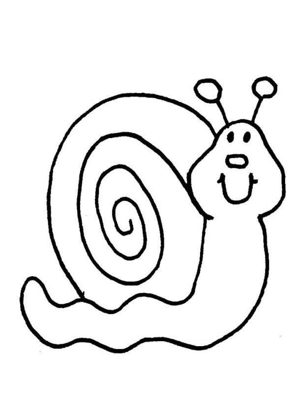 5 super simple drawing methods of snails