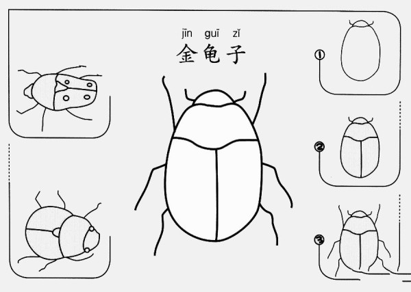 How to draw a scarab beetle