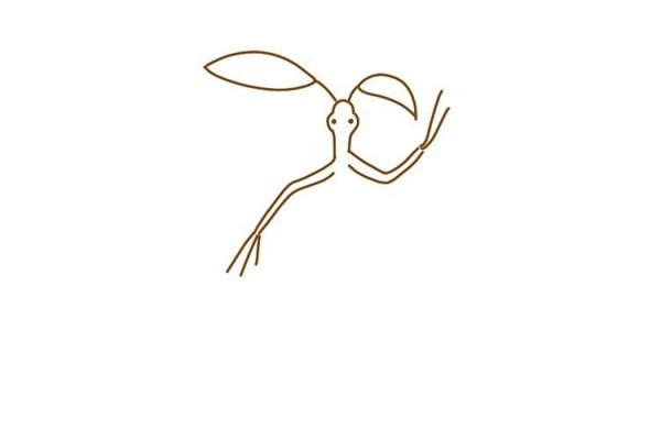 Fantastic Beasts and Where to Find Them Let’s draw a cute Bowtruckle together