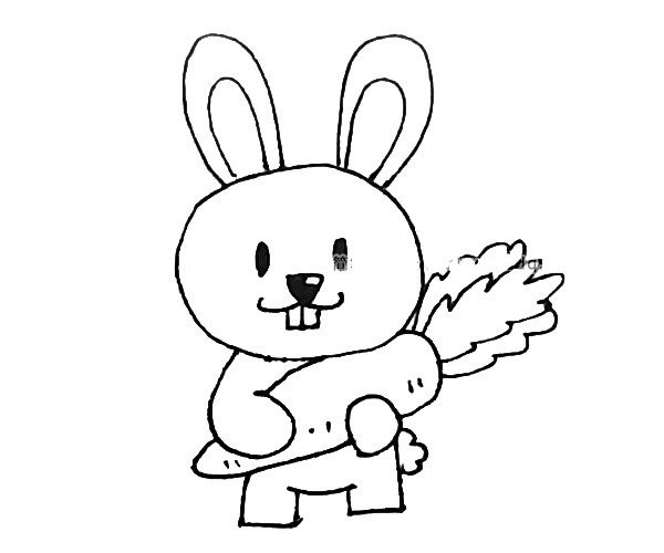 Little rabbit who loves carrots