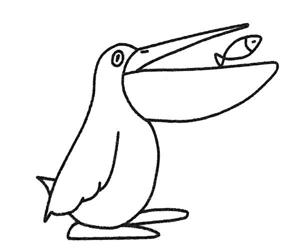 How to draw a pelican in four steps