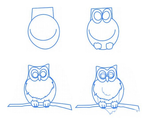 Simple drawing tutorial Step by step drawing of an owl on a branch