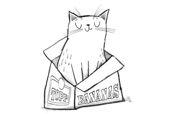 Cute kitten and box simple drawing picture