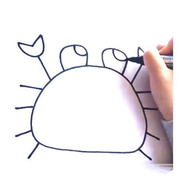 Learn to draw a crab video tutorial