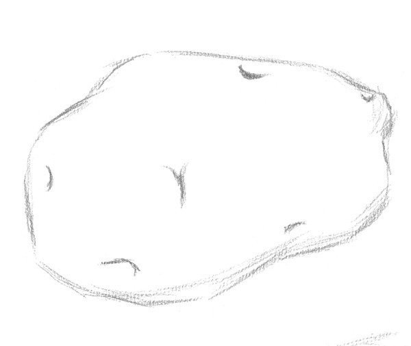 Drawing Techniques of Sketching Potatoes