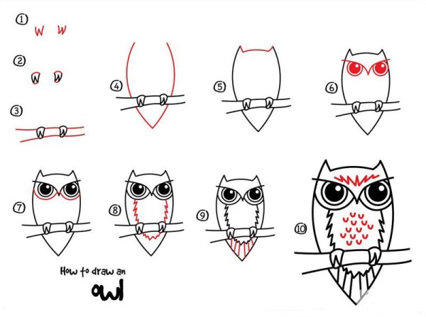 How to Draw an Owl Owl Drawing Tutorial