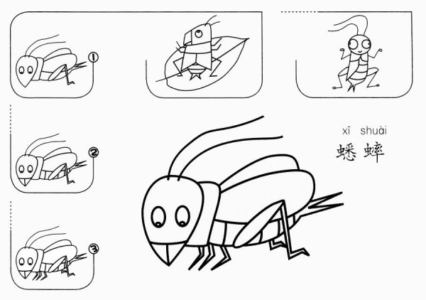 How to draw a cricket