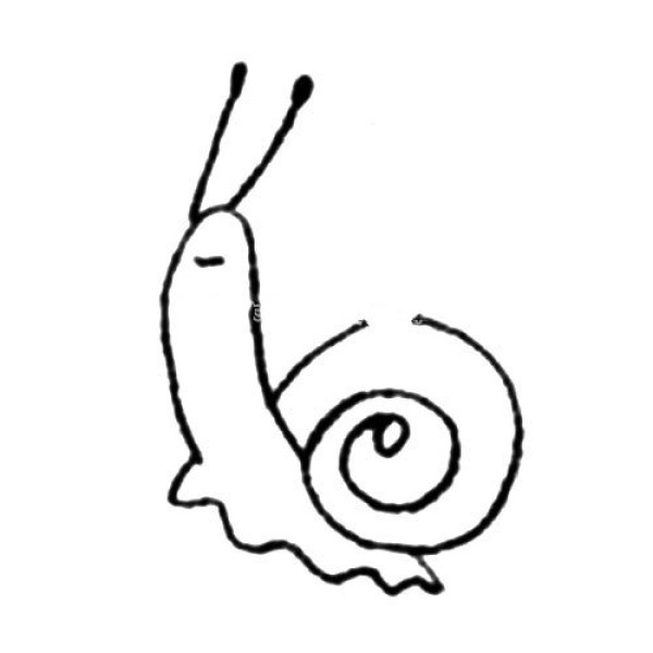 Simple snail drawing tutorial