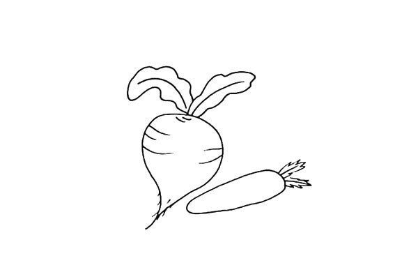 How to draw a radish