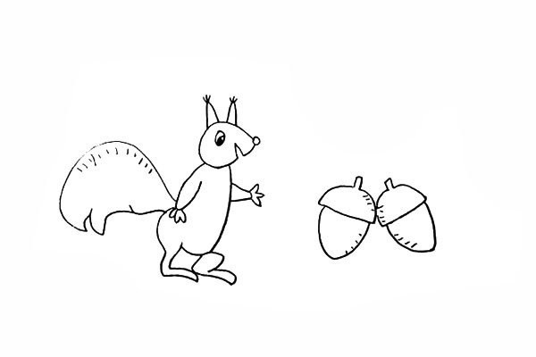 How to draw a little squirrel