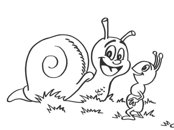 snails and ants