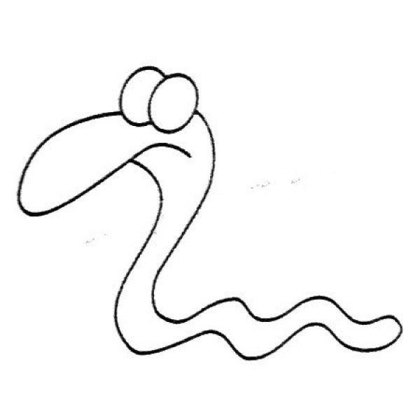 Earthworm simple drawing pictures and drawing steps