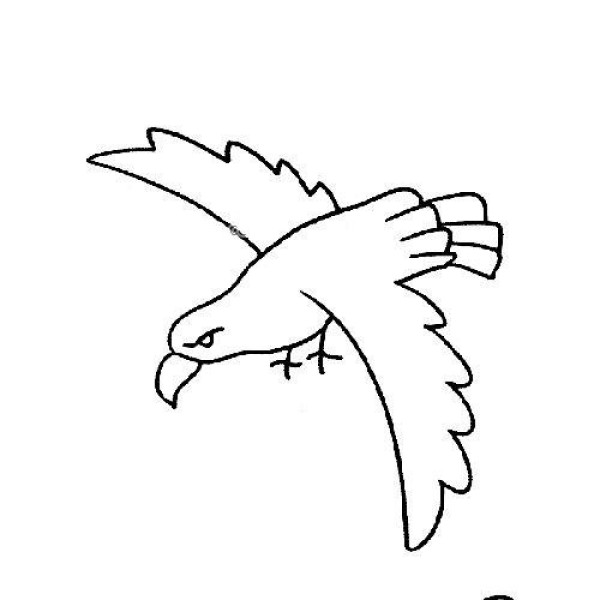 Eagle simple strokes