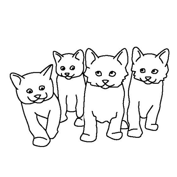 Cat pictures, simple drawing of a litter of kittens