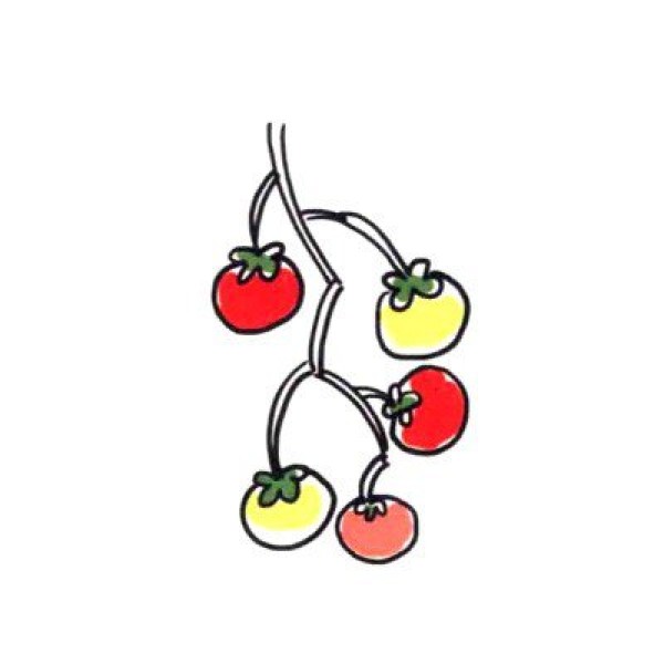 Draw a cute simple drawing of a healthy and refreshing tomato in four steps