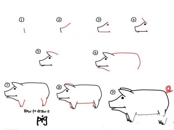 How to Draw a Pig Simple Drawing Tutorial of a Pig