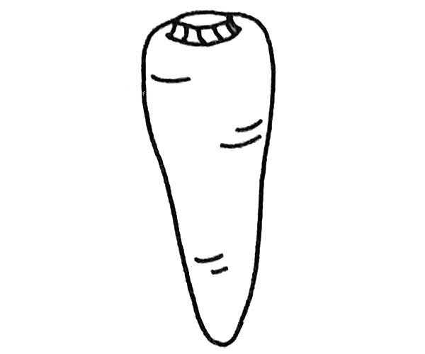 Four simple carrot drawing pictures