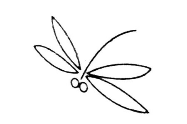 Simple dragonfly drawing pictures and drawing steps