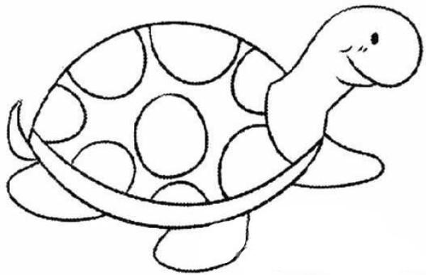 How to draw a turtle with simple strokes for children