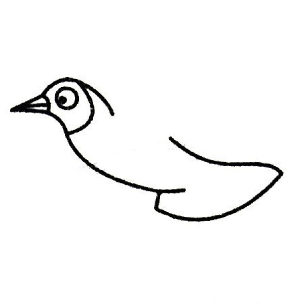 Complete collection of seagull simple strokes and drawing steps