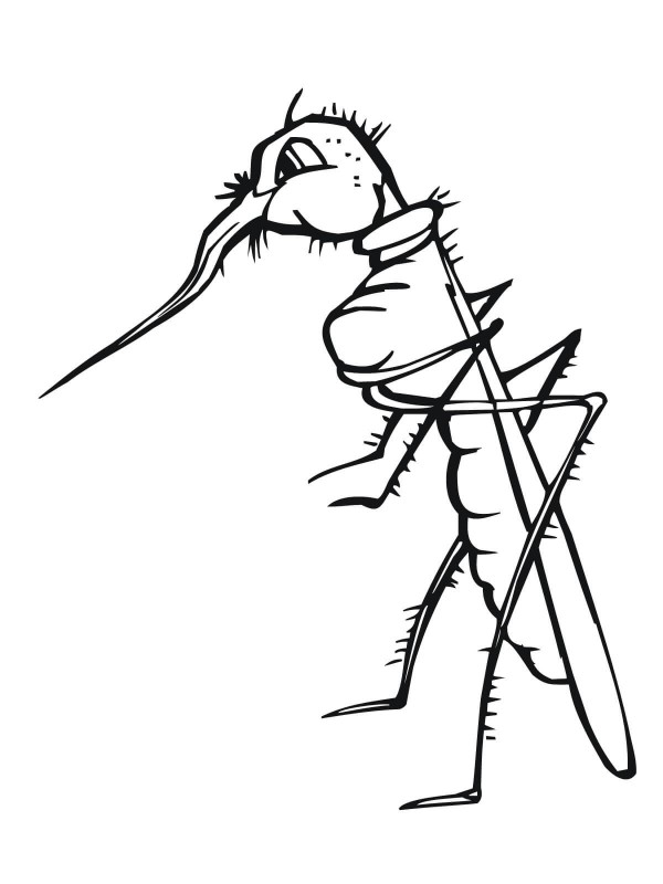 Cartoon mosquito simple drawing picture