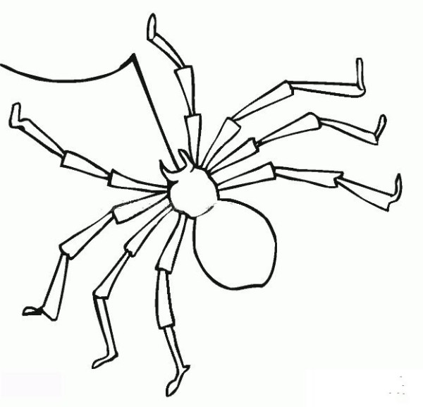 Scary Spider Simple Drawing