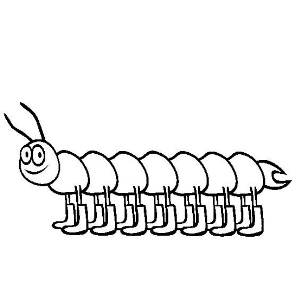 Insect pictures Cartoon centipede simple drawing pictures