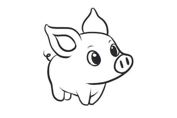 How to draw a simple piglet