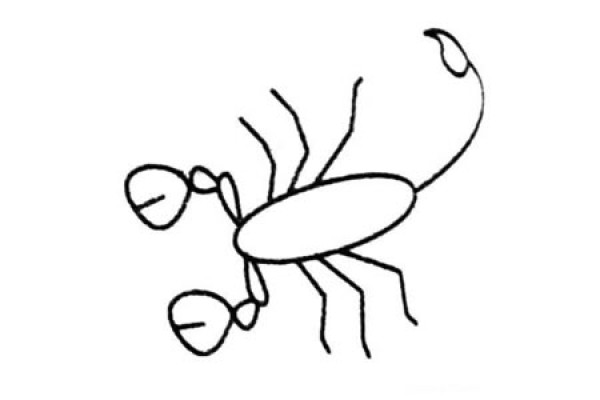 Simple drawing pictures and steps of scorpion