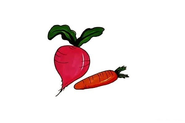 How to draw red radish