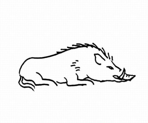 Childrens simple drawing of wild boar