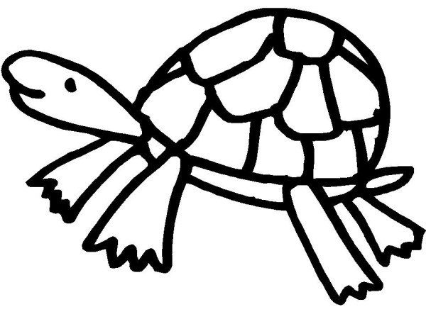 Complete collection of simple strokes of little turtle