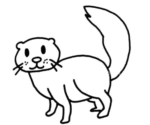 A set of simple drawing pictures of weasels