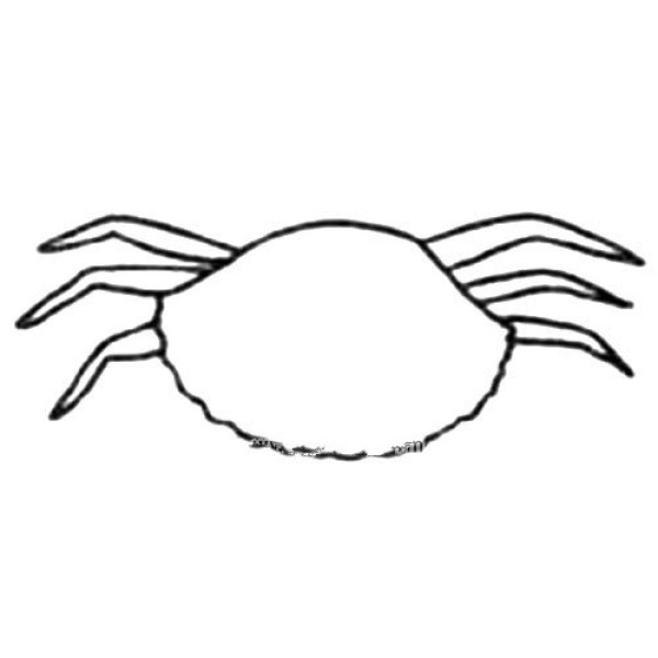 Crab simple drawing tutorial