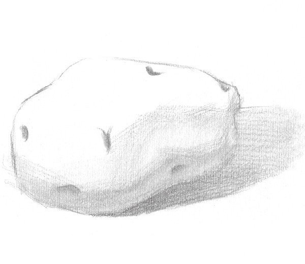 Drawing Techniques of Sketching Potatoes