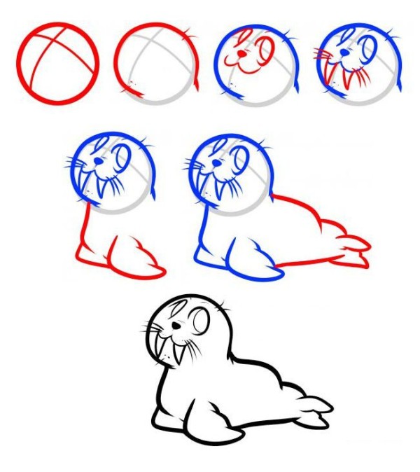 Step by step drawing of cute little seal with simple strokes