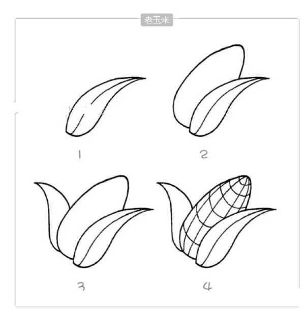 Simple drawing tutorial of old corn