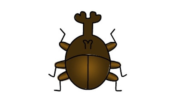 Childrens simple drawing method of beetle