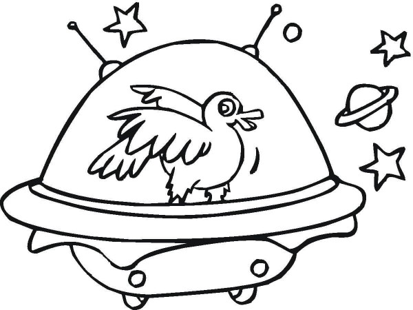 duck rides spaceship